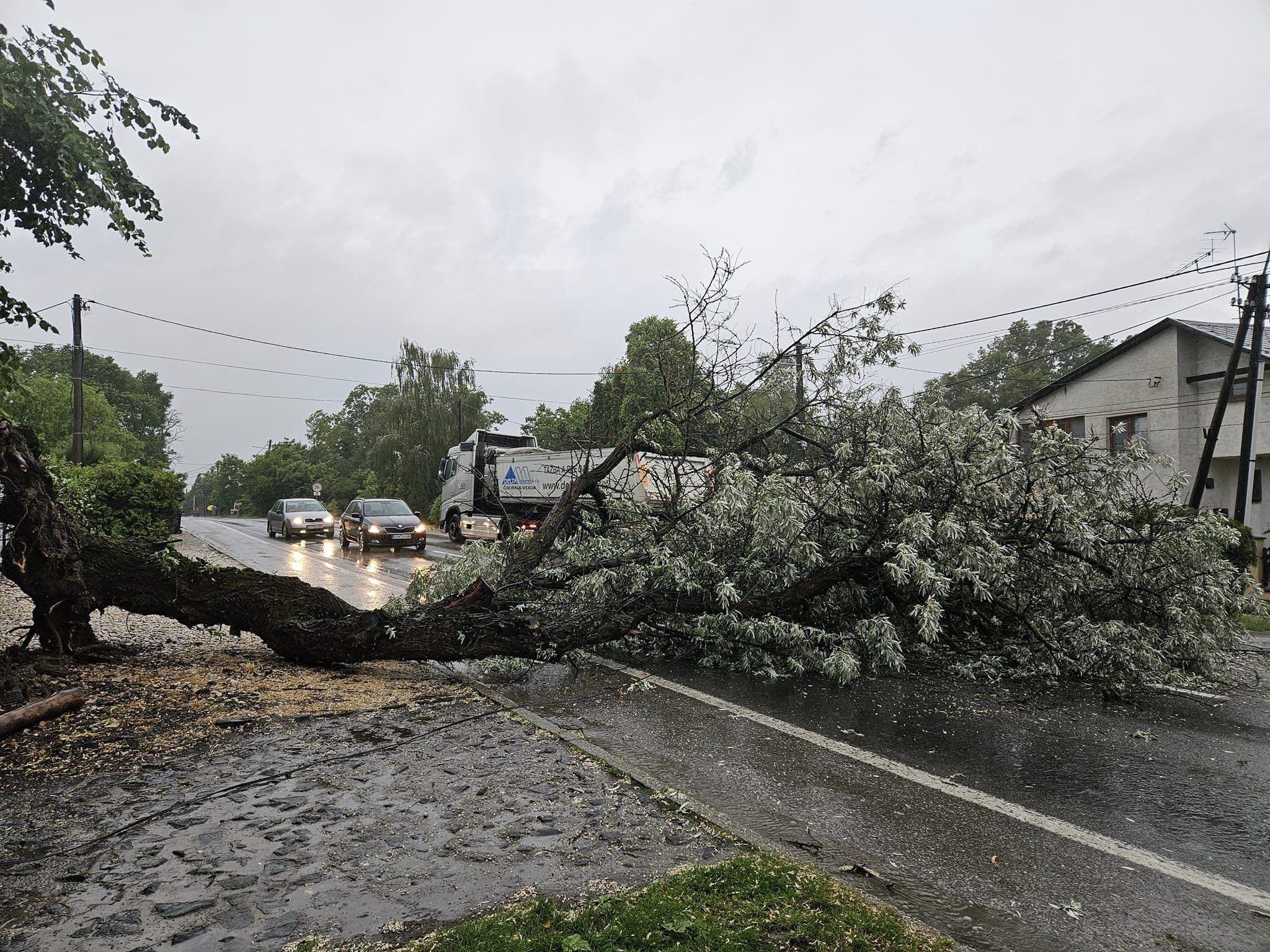 Egy hatalmas fa zuhant a fő útra Dunatőkésen