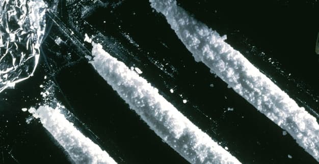 Hétszáz kiló kokaint foglalt le a rendőrség egy jachton