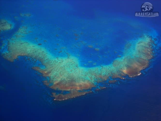 A hőhullámok "megfőzik" a Nagy-korallzátony koralljait