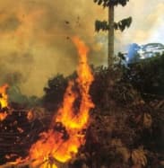 TŰZVÉSZ: Hatalmas területen lángol az erdő az Erdőháton!