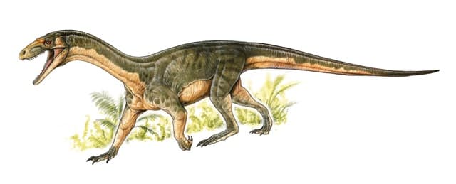 A krokodilokéhoz hasonló járása volt a dinoszauruszok egyik legkorábbi ismert rokonának