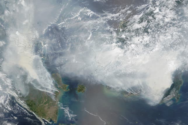 Százezrek halhatnak meg az indonéziai erdőtüzek miatt