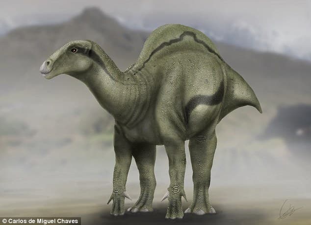 Púposhátú dinoszaurusz maradványaira bukkantak