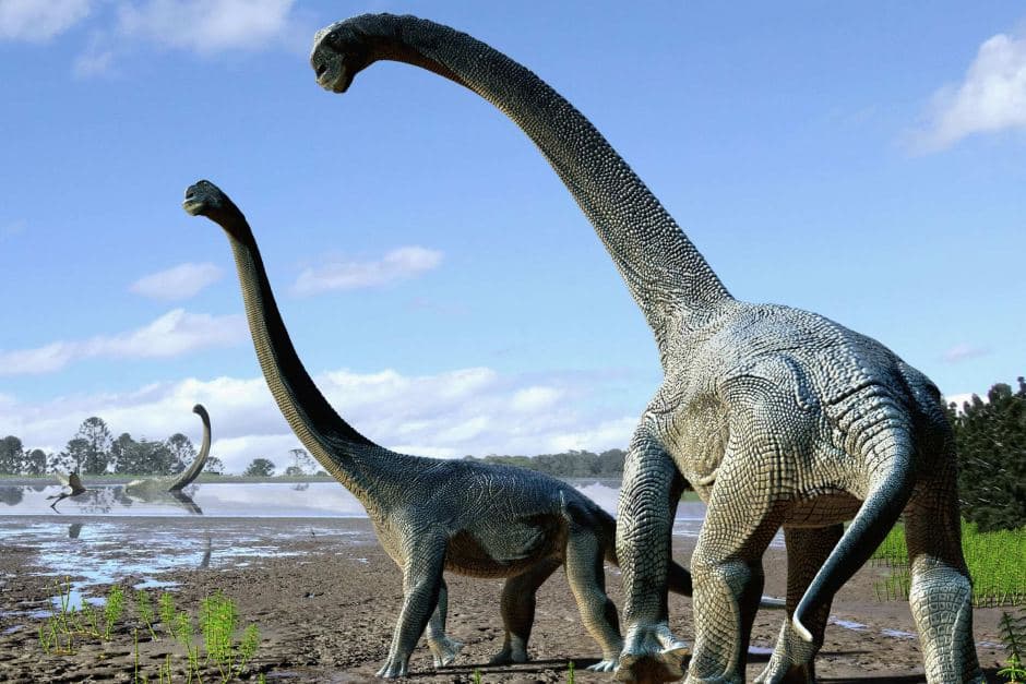 Eddig ismeretlen óriási dinoszauruszfajt fedeztek fel