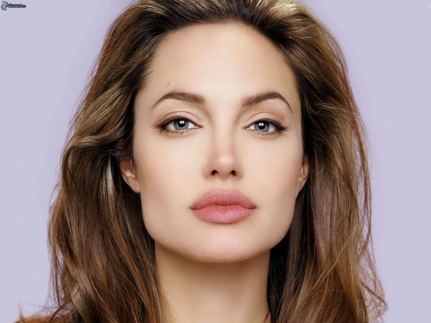 Angelina Jolie afganisztáni háborús hős lesz új filmjében