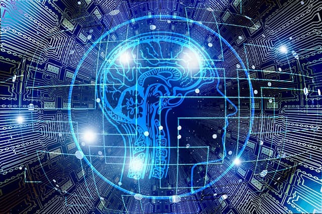 Az emberi agy és a mesterséges intelligencia működését kutatják magyar kutatók