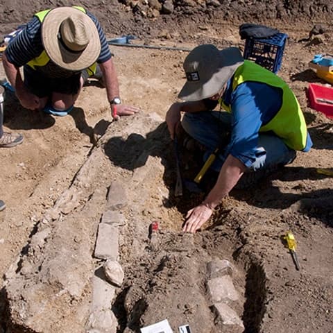 Egy 85 éve feltárt dinoszaurusz újabb csontjait találták meg