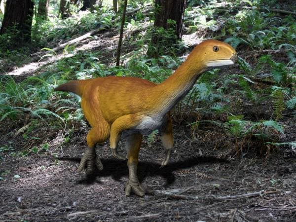 Az egyik legizgalmasabb dinoszaurusz feltárja titkait