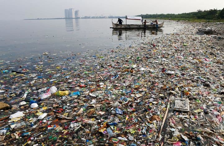 Műanyaggal szennyezettek a kagylók az Északi-sarktól Kínáig