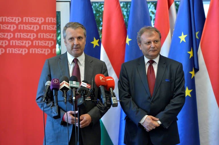 Molnár Gyulát választották meg az MSZP elnökének