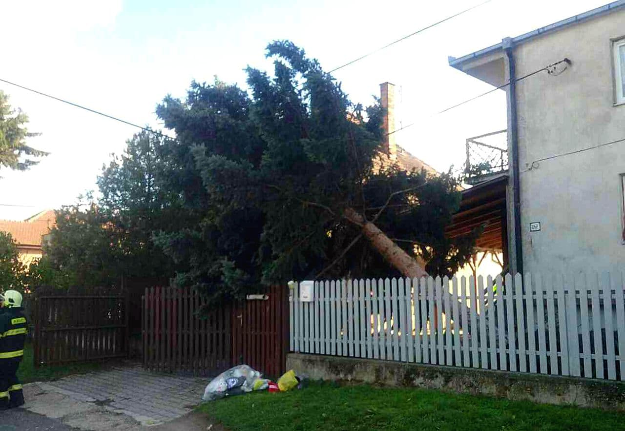 Eperjesnél egy fa törte be a szélvédőt, Kisudvarnokban megdőlt kémény veszélyeztetett a szélvihar után