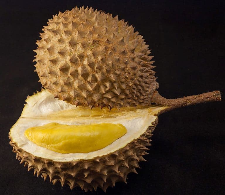 Megfejtették a durián gyümölcs szúrós szagának titkát