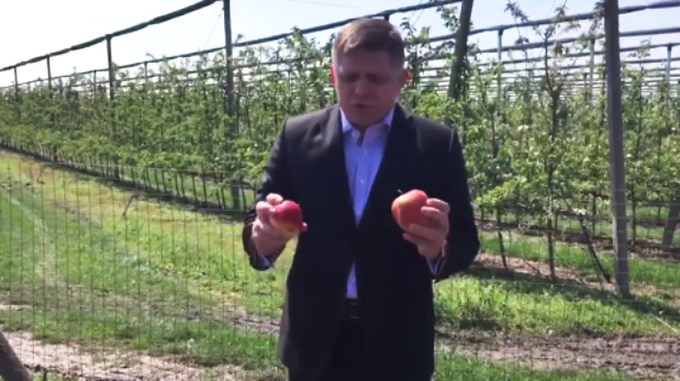 A kormány támogatni fogja a fagykárokat elszenvedő gyümölcstermesztőket