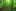 green-forest-trees.jpg.662x0_q70_crop-scale