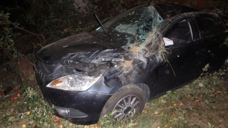 Lehajtott az útról és fának csapódott autójával a 40 éves részeg nő