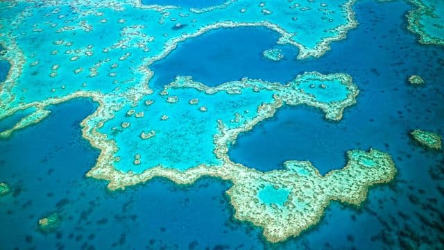 Versenyt hirdettek kutatóknak a Nagy-Korallzátony megmentésére