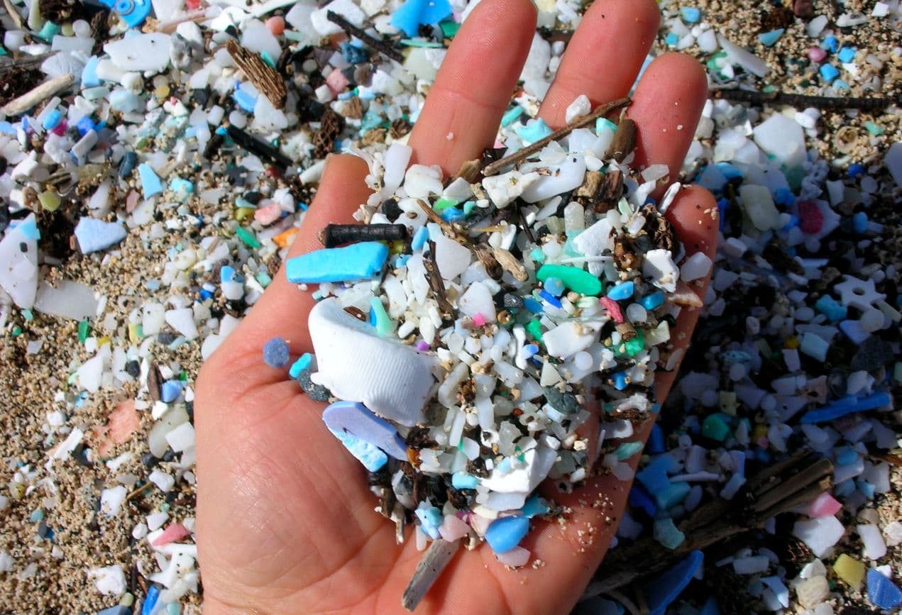 Rengeteg mikroműanyag van a tengerek üledékeiben