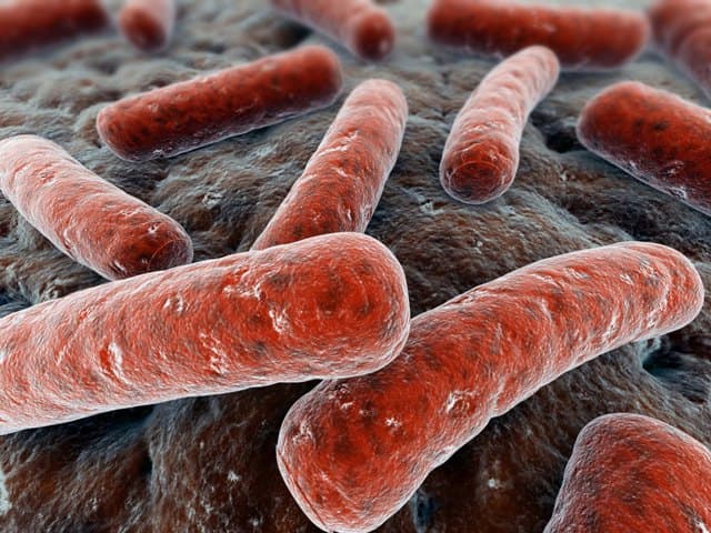 Egyre kevesebb a tuberkulózisos beteg Európában