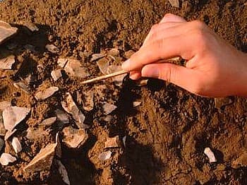 Négyszázezer éves emberi koponyatöredékre bukkantak