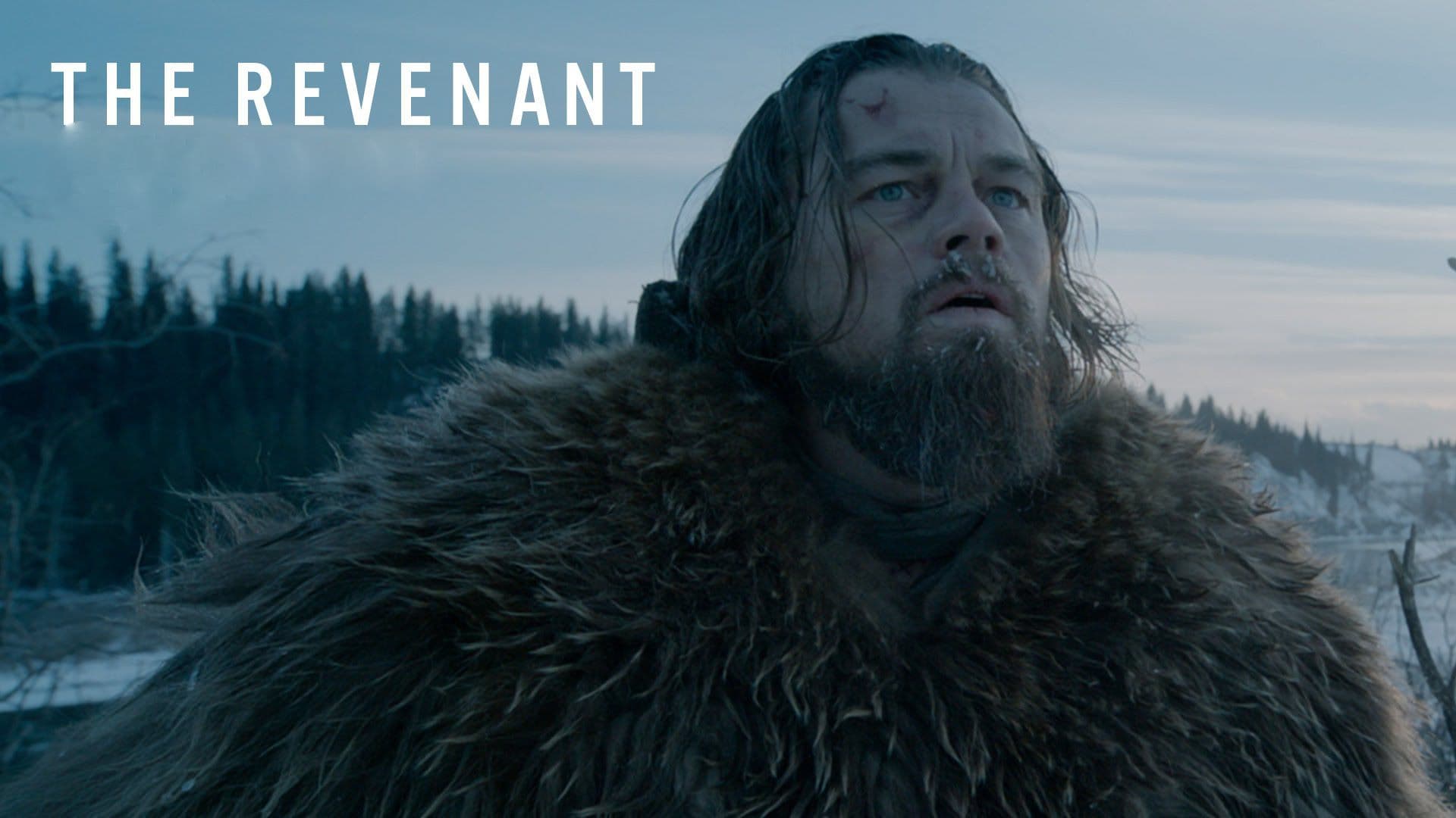 The Revenant: DiCaprio lóvá lett, Iñárritu lóvá tett