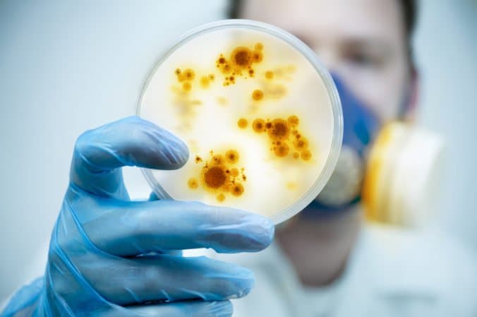 Antibiotikumoknak ellenálló baktériumokat találtak a Dunában!