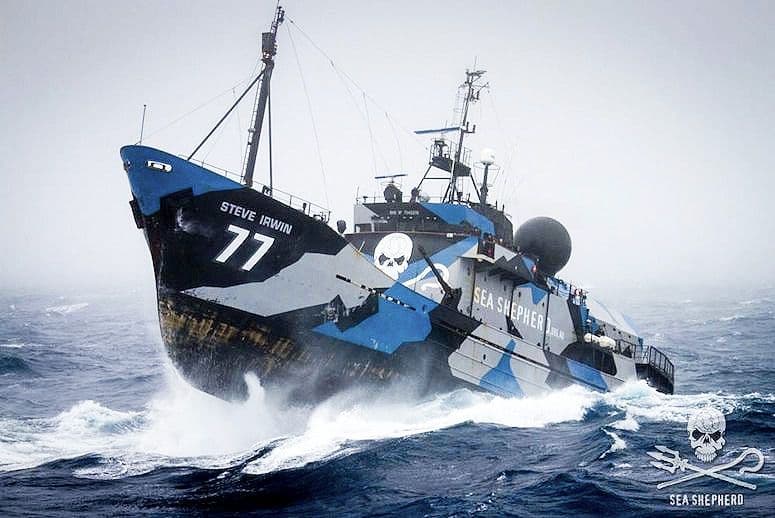 Nem üldözi többé a japán bálnavadászhajókat a Sea Shepherd