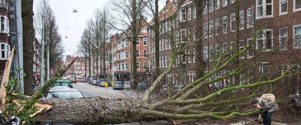 Halálos áldozatokat követelt az erős szél Belgiumban és Hollandiában