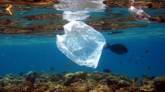 A mikroműanyagok teszik ki az óceánokat szennyező "műanyag leves" jelentős hányadát