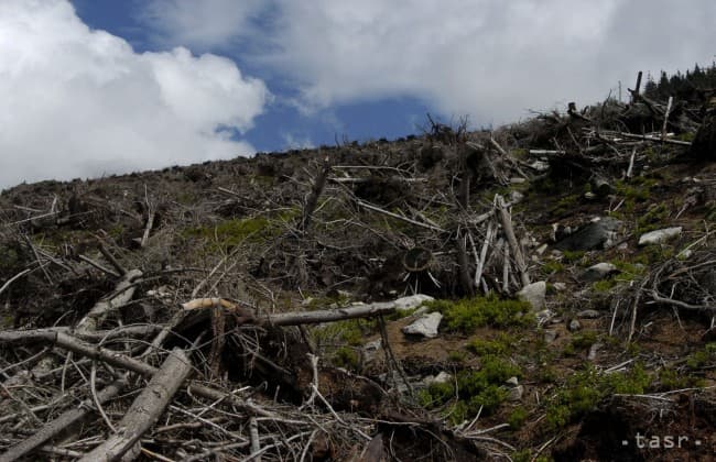 Több mint 1,3 milliós természeti kárt okozott az erdőtűz a Tátrában