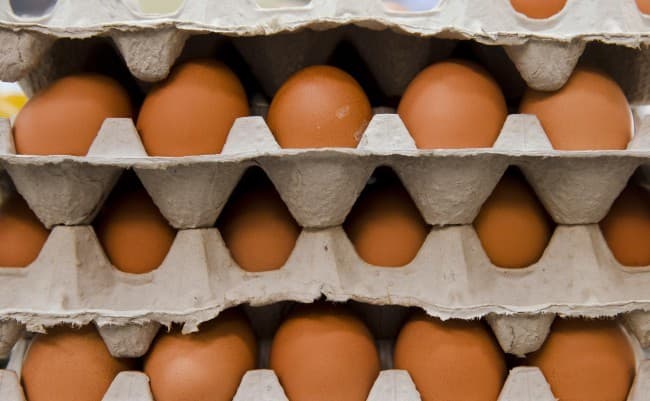 Már Szlovákiában is felbukkantak a rovarirtószerrel szennyezett tojások