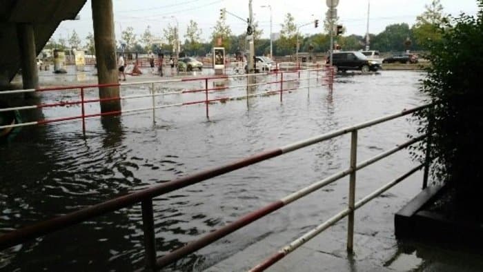 VIHAR: Tombolt az idő Pozsonyban – lezúduló eső, kidőlt fák bénították a közlekedést