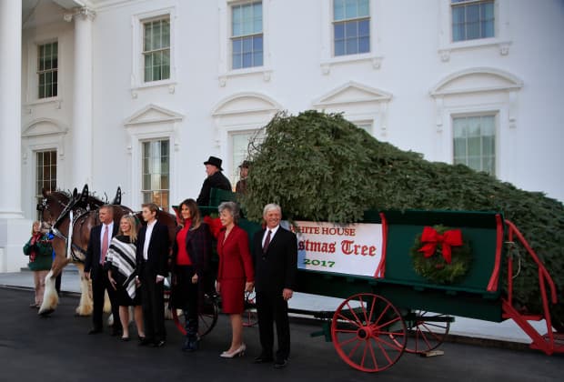 Megérkezett Washingtonba a Fehér Ház hivatalos karácsonyfája