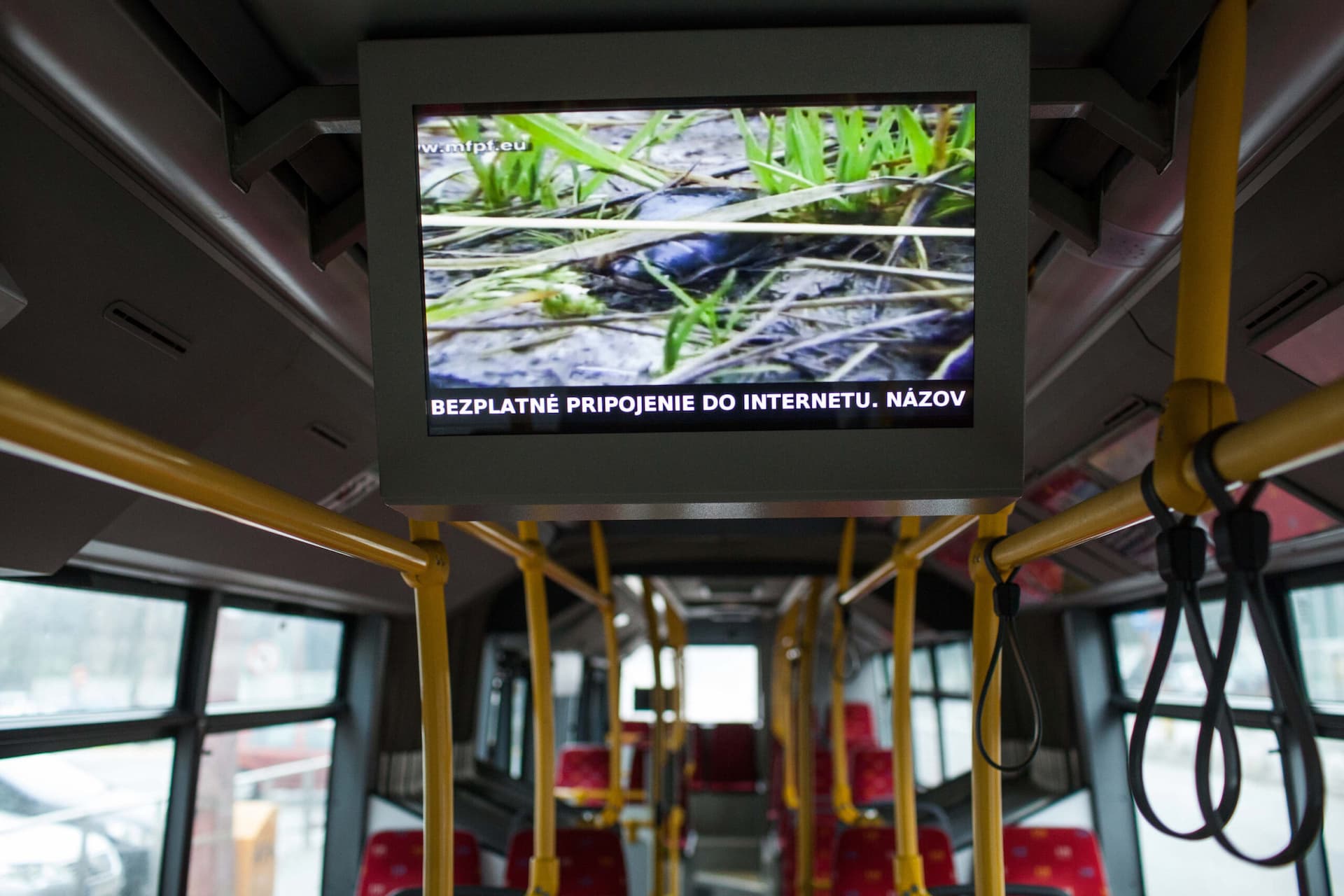 Már 90 ezren kapcsolódtak a buszos wifire