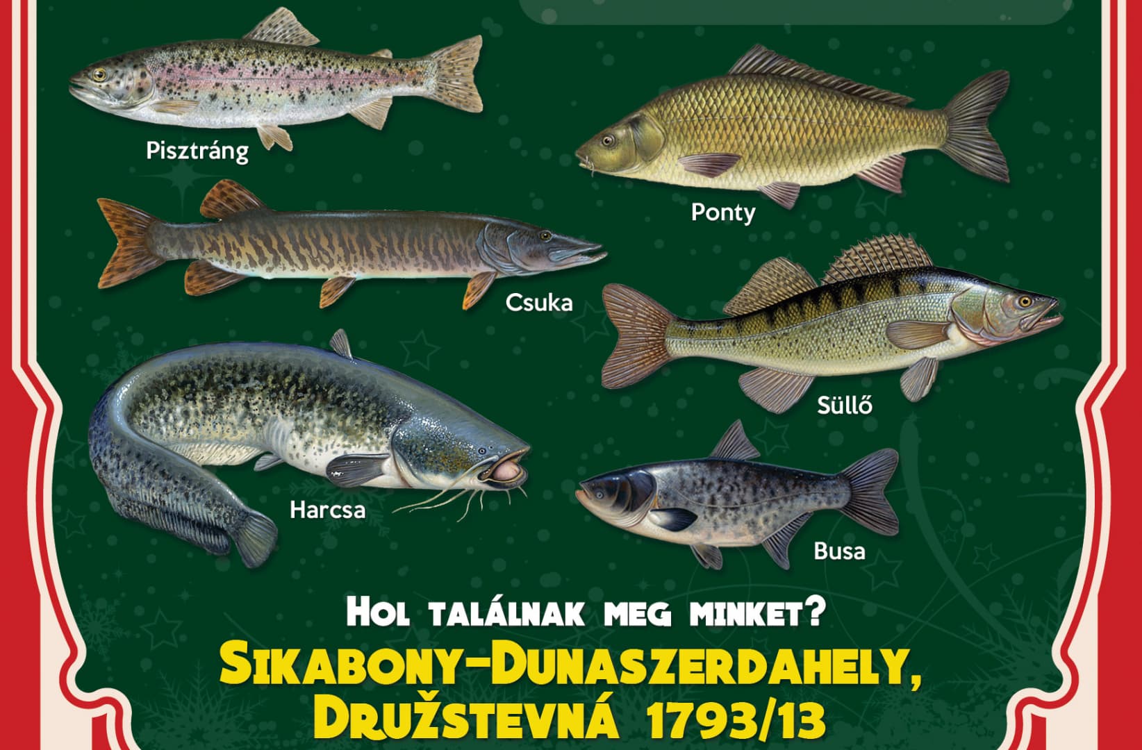 Halárusítás Dunaszerdahelyen - a megvásárolt halat helyben megtisztítjuk önnek