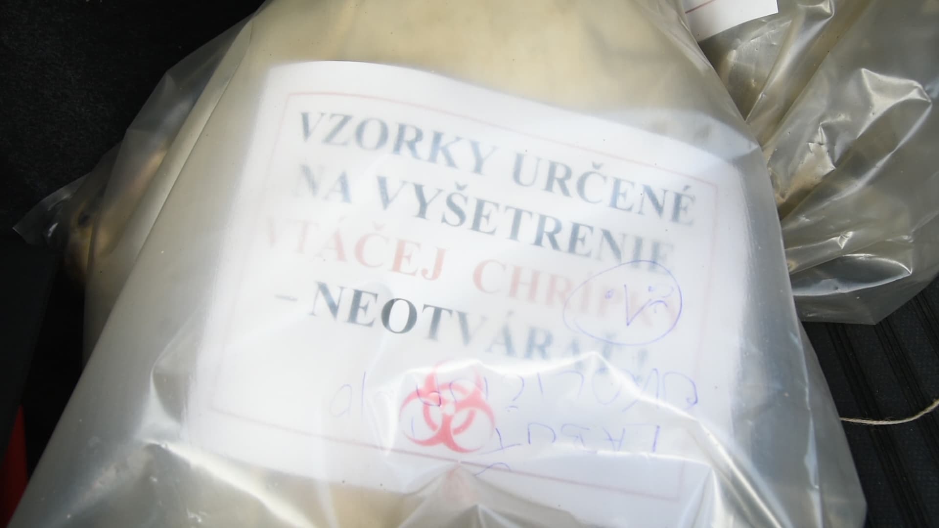 Terjed a madárinfluenza, már Ekecsen is összeszámolták a házi szárnyasokat, és tilos vadmadárra vadászni