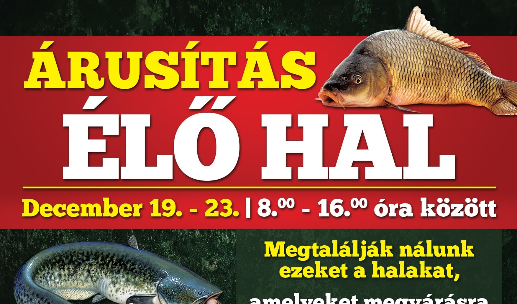 Karácsonyi halvásár Dunaszerdahelyen: válogasson kedvére a bőséges kínálatból, a halpucolásra pedig ne legyen gondja!