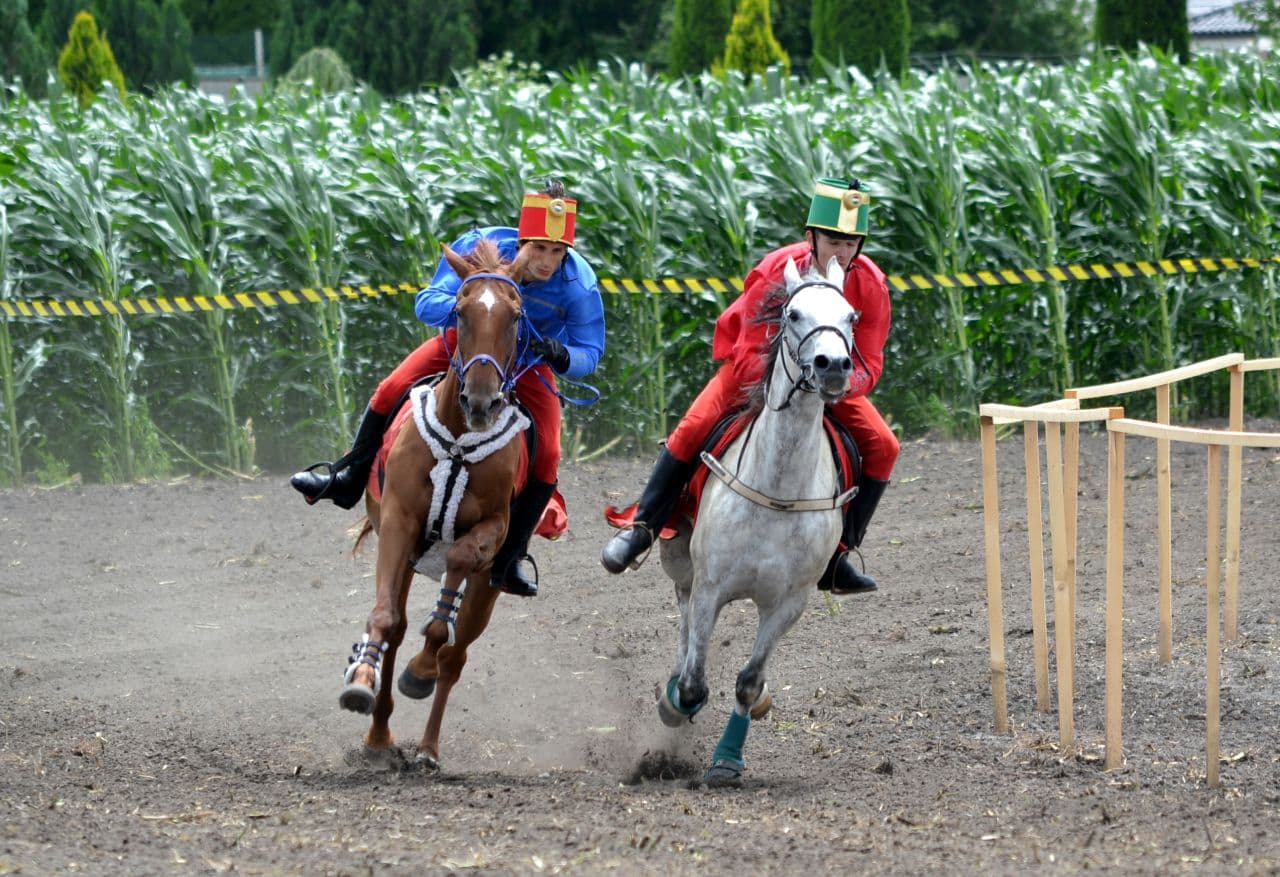 Rekordszámú lovassal rajtol el idén a Felvidéki Vágta Dunaszerdahelyen