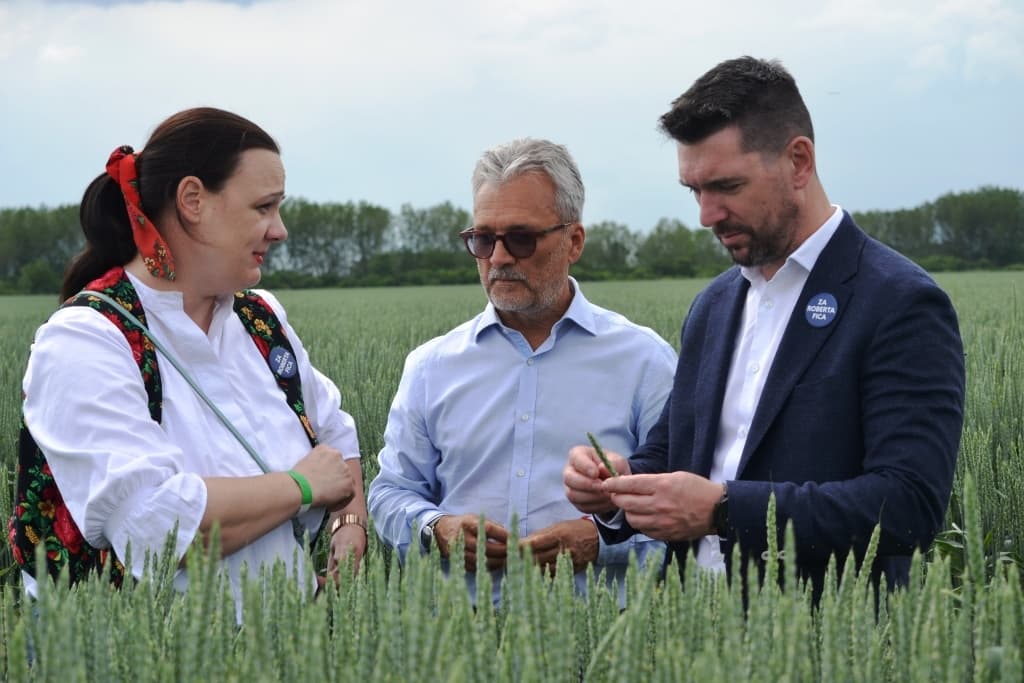Elugrott megnézni a smeres miniszter a magyarok kenyerét Nyékvárkonyba, majd megsúgta, hogy az ukrán gabona megállíthatatlan