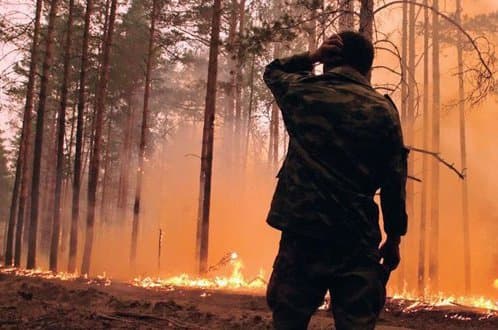 Erdőtűzhöz riasztották a tűzoltókat