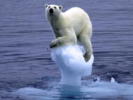 A klímaváltozás felelős a globális felmelegedés miatti halálozások több mint harmadáért