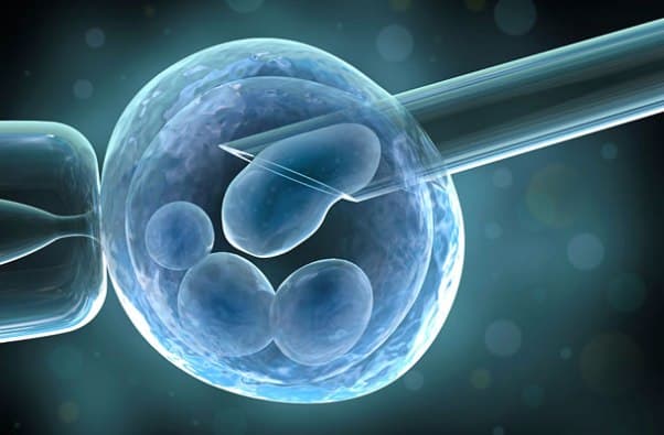 Ugyanolyan sikeres lombikbébi-kezeléskor a lefagyasztott embrió, mint a friss