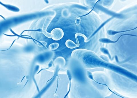 Összekeverték a megtermékenyítéshez használt spermákat egy klinikán