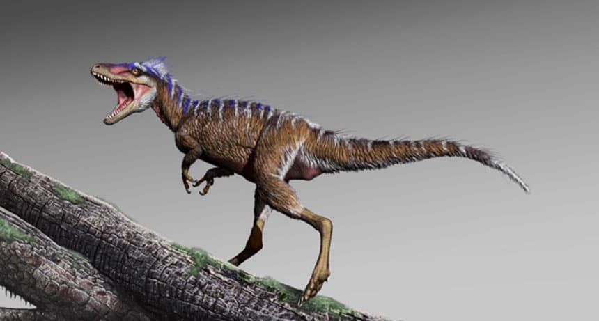 A T. rex apró termetű elődjének maradványaira bukkantak kutatók