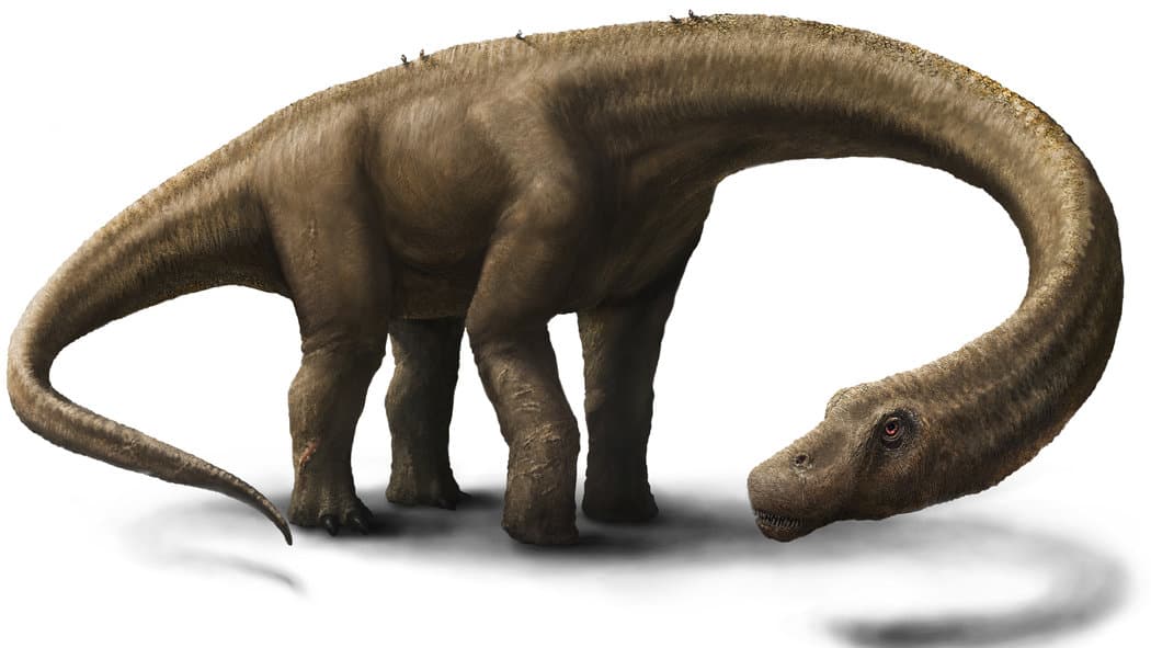 Rengeteg dinoszaurleletre bukkantak Kínában