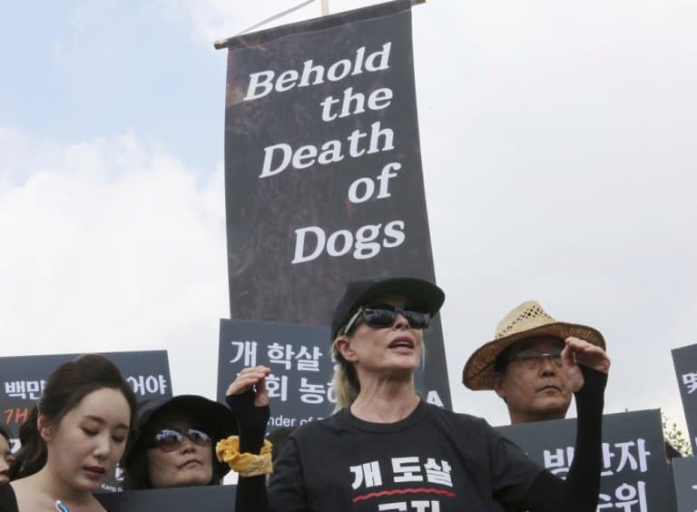 Kim Basinger állatvédőkkel együtt tiltakozott Szöulban a kutyahúsevés ellen