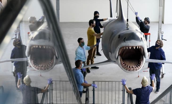 A cápa is látható majd az Oscar-múzeumban