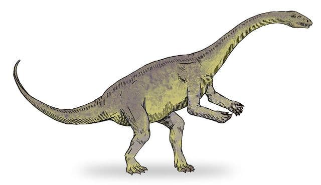 Soha nem találtak még ennyi idős dinoszaurusz-maradványban fehérjét