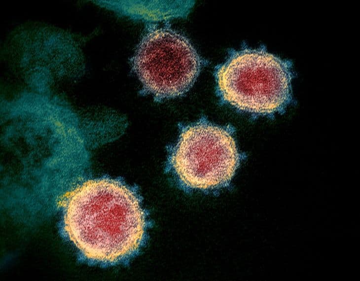 A vírus laboratóriumi eredetéről szóló washingtoni állítások nem megalapozottak