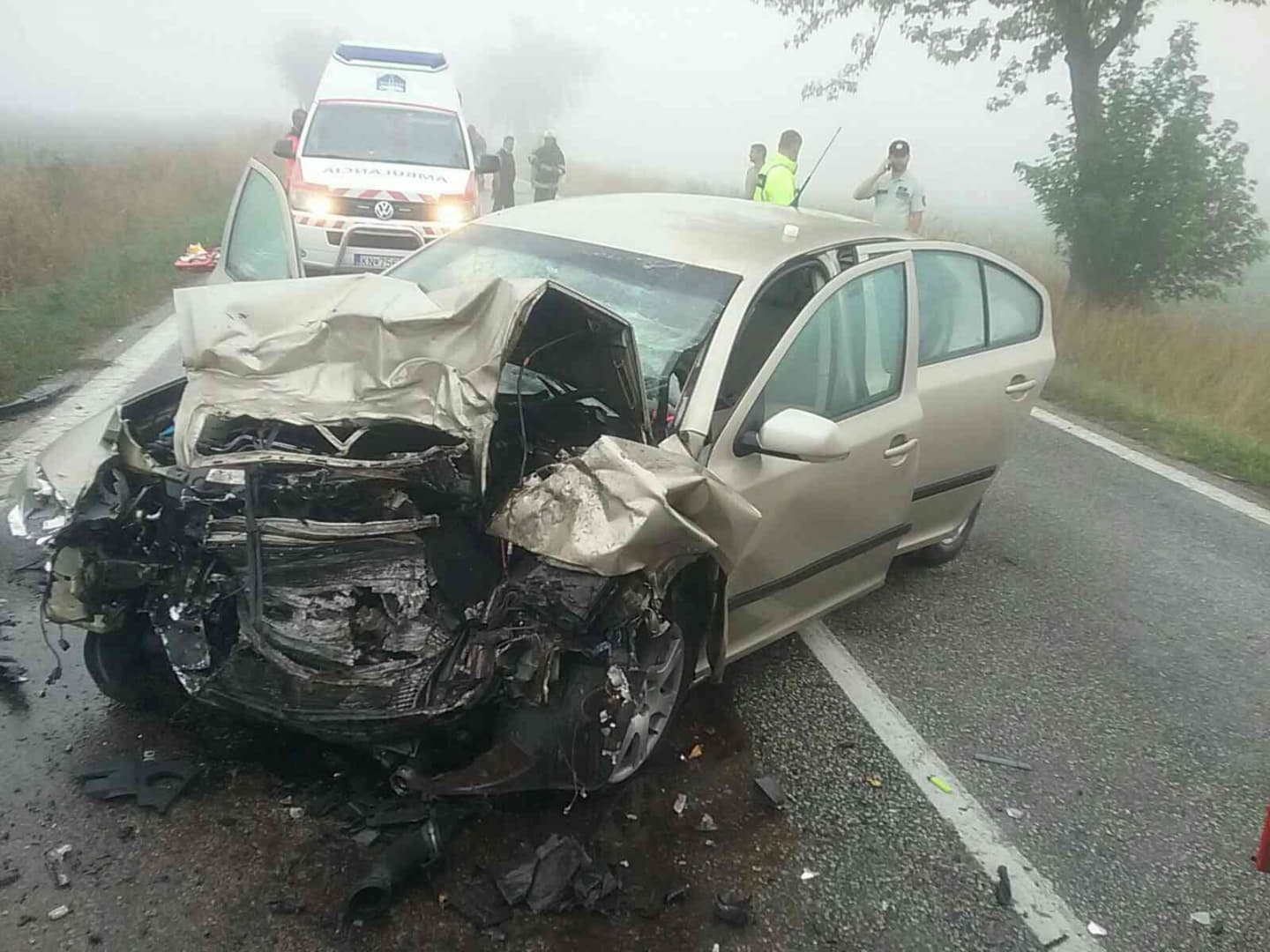 Súlyos baleset: frontálisan ütközött két személyautó a reggeli ködben, 21 éves sofőr vesztette életét (FOTÓK)