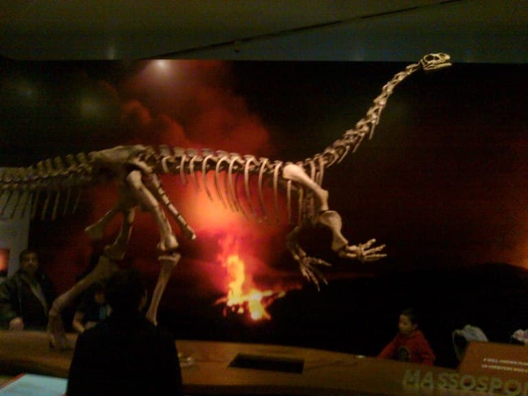 Új dinoszauruszfajt azonosítottak paleontológusok